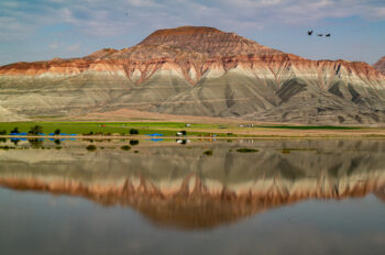 Bird Paradise-Nallıhan-Anatolia/Turkey